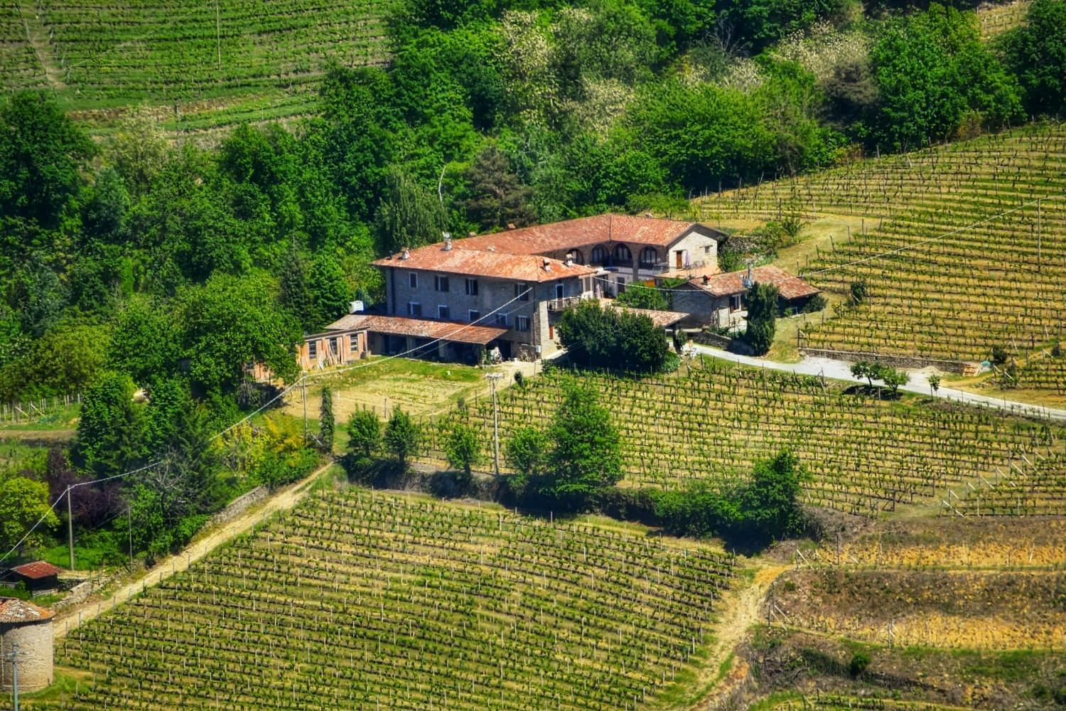 Agriturismo Tenuta San Giuseppe Cossano Belbo Kültér fotó